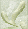 may-massage-diem-g-svakom-gabrielle-rung-thut-suoi-am-dieu-khien-tu-xa-cao-cap - ảnh nhỏ  1