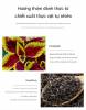 nuoc-hoa-nam-orgie-sensfeel-50ml-huong-thom-nam-tinh-tang-su-tu-tin-va-cuon-hut-kt116 - ảnh nhỏ 7